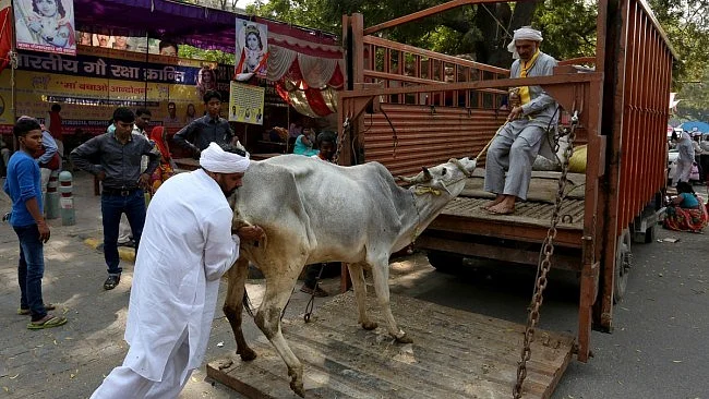 सांकेतिक फोटो