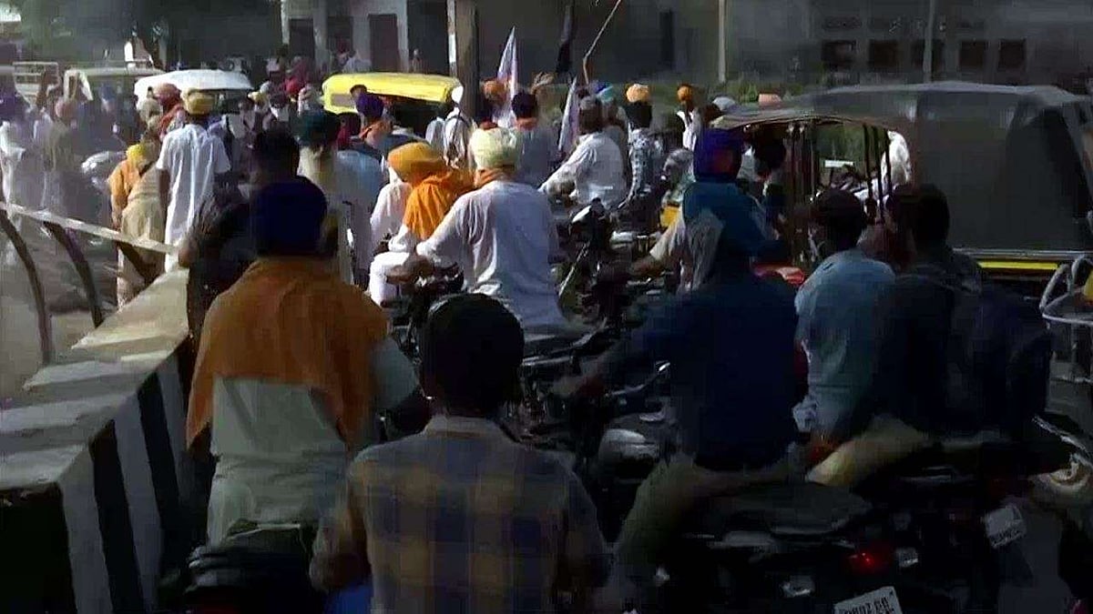 फोटो: सोशल मीडिया