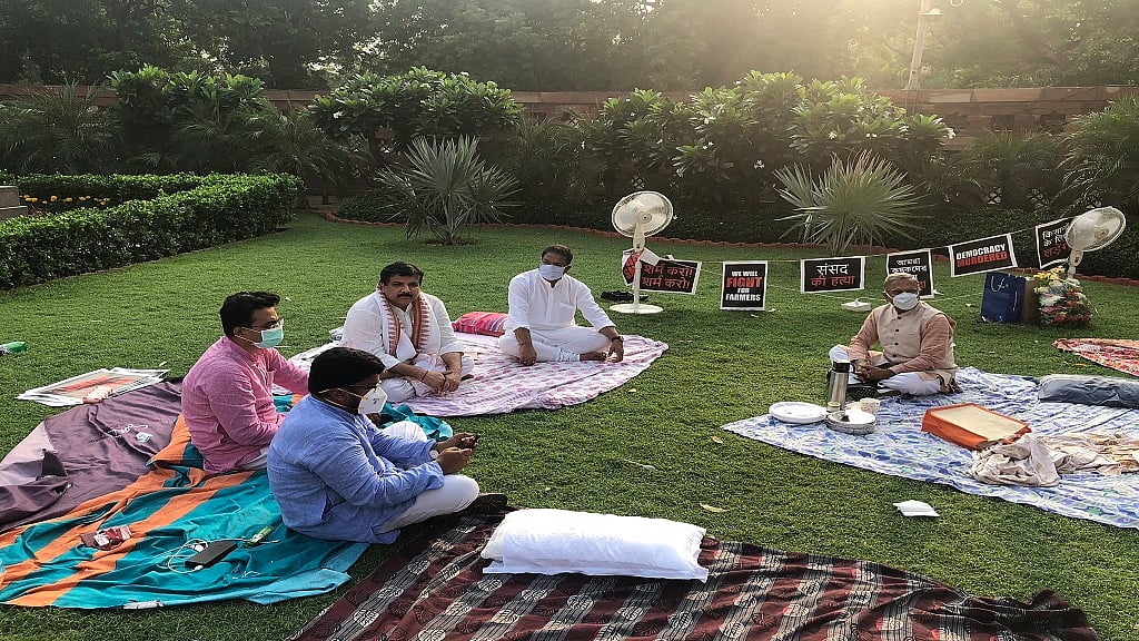 फोटो: सोशल मीडिया
