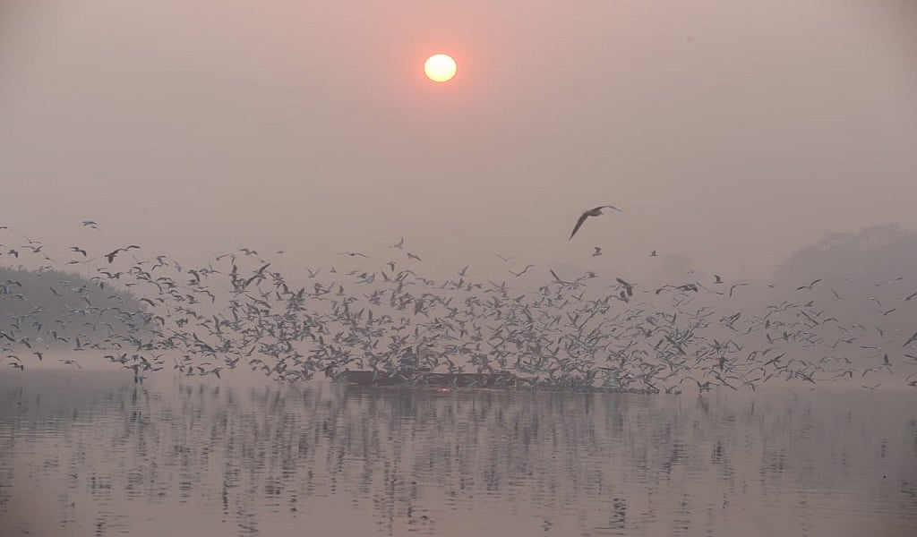 फोटो: विपिन