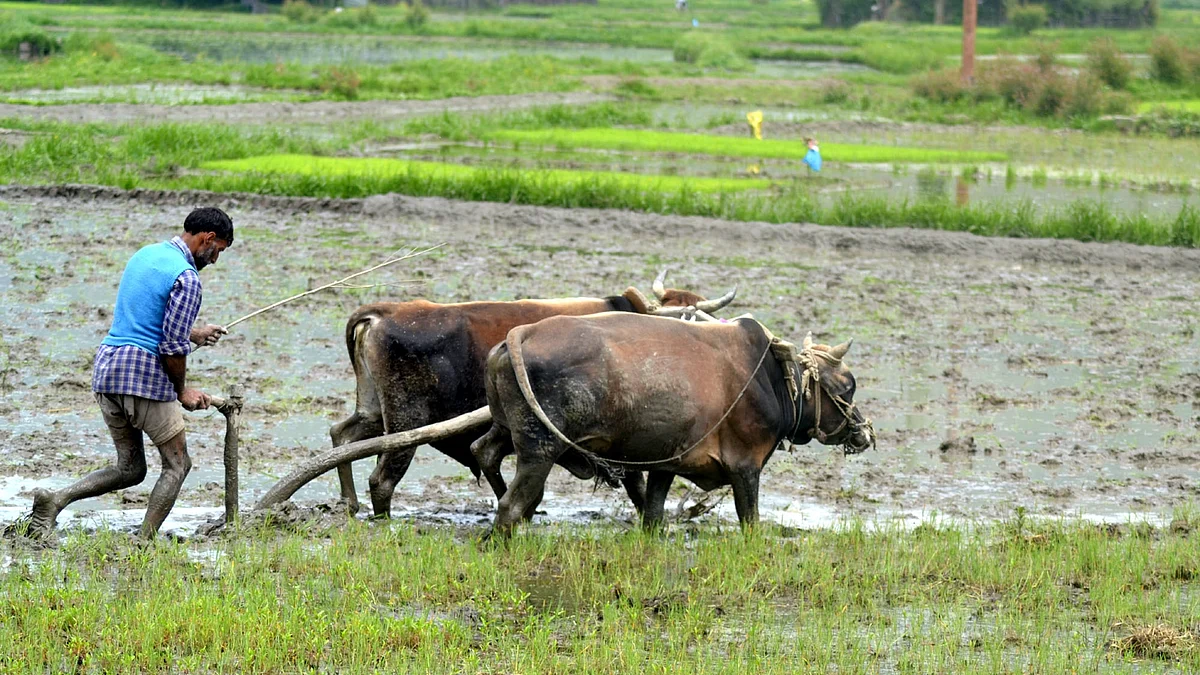 फोटो: IANS