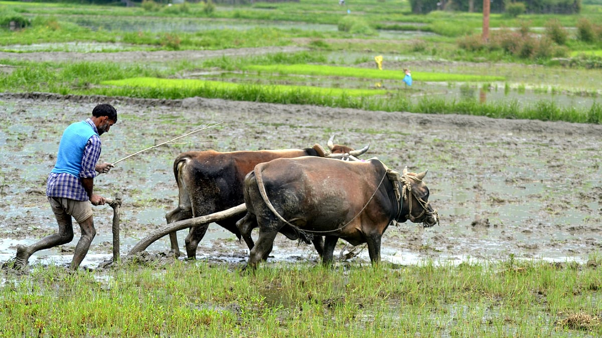 फोटो: IANS