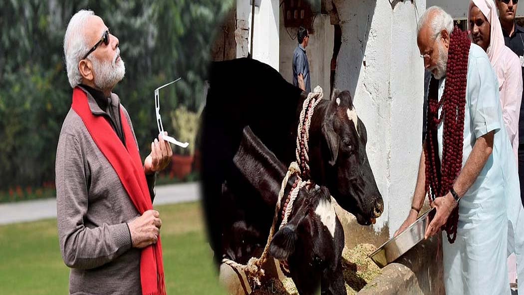 फोटो: सोशल मीडिया