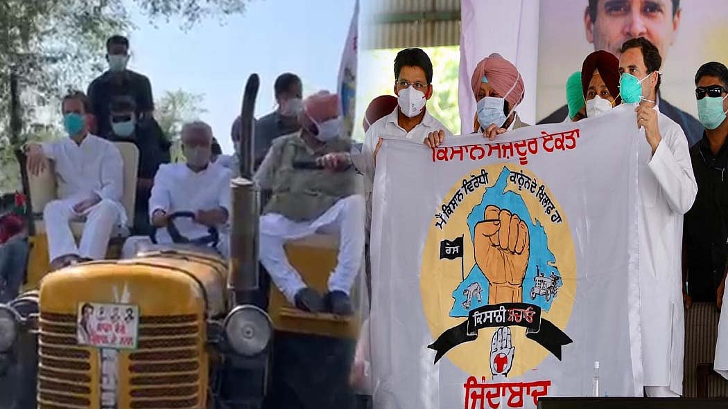 फोटो: सोशल मीडिया