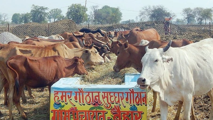 नवजीवन