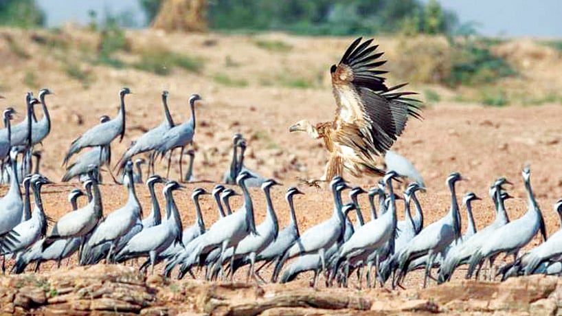 नवजीवन