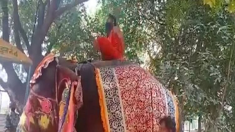 जब योगासन करते-करते हाथी की पीठ से धड़ाम से गिरे बाबा रामदेव, देखें वीडियो