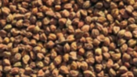 फोटो : IANS