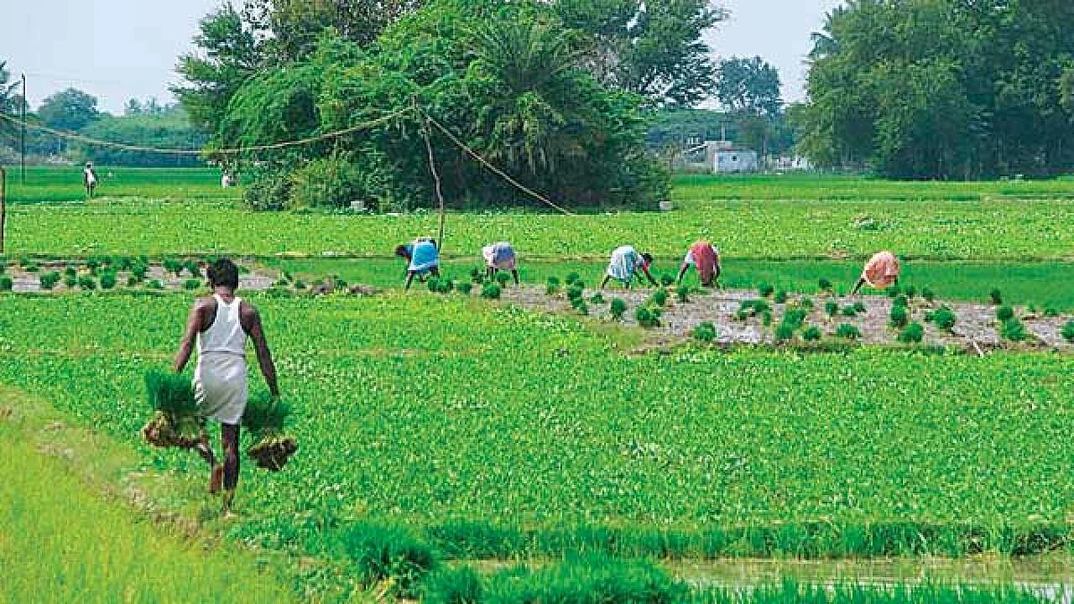 फोटो: सोशल मीडिया
