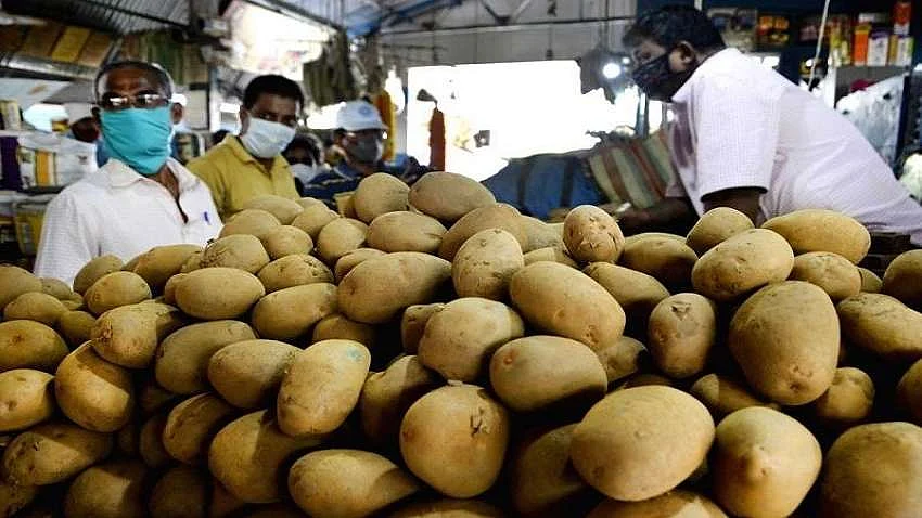 फोटो: सोशल मीडिया