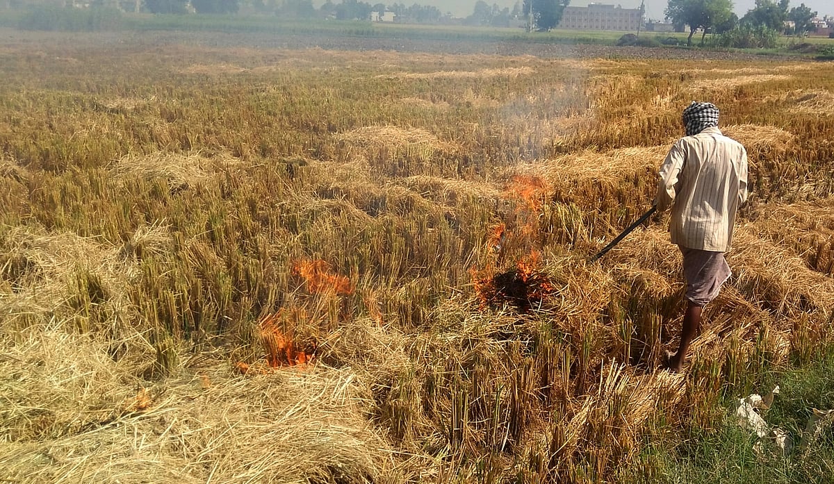 पराली जलाने को लेकर यूपी में किसानों पर मामला दर्ज, प्रियंका का सवाल- क्या प्रदूषण के लिए सिर्फ किसान जिम्मेदार हैं?  