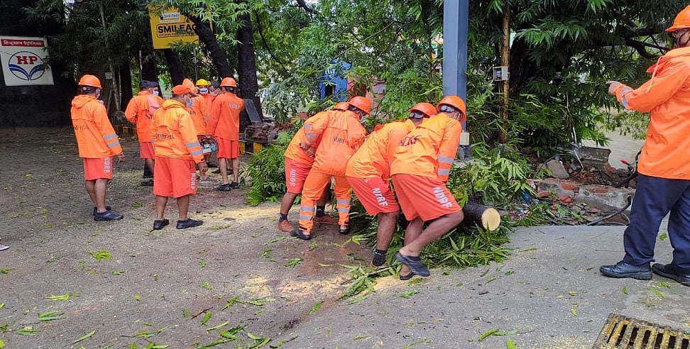 चक्रवात ‘निवार’ के गुजरने के बाद तमिलनाडु-पुडुचेरी में तबाही का मंजर, राहत कार्य में जुटी NDRF, देखें तस्वीरें