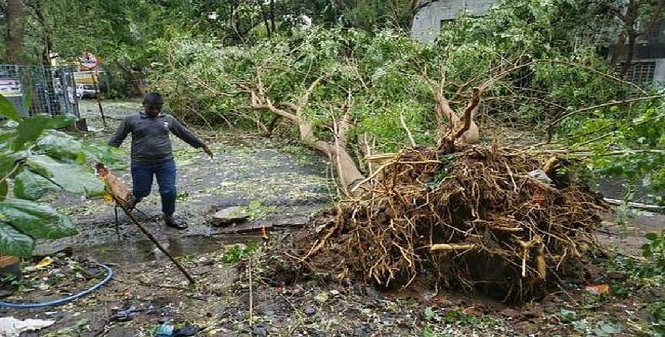 चक्रवात ‘निवार’ के गुजरने के बाद तमिलनाडु-पुडुचेरी में तबाही का मंजर, राहत कार्य में जुटी NDRF, देखें तस्वीरें