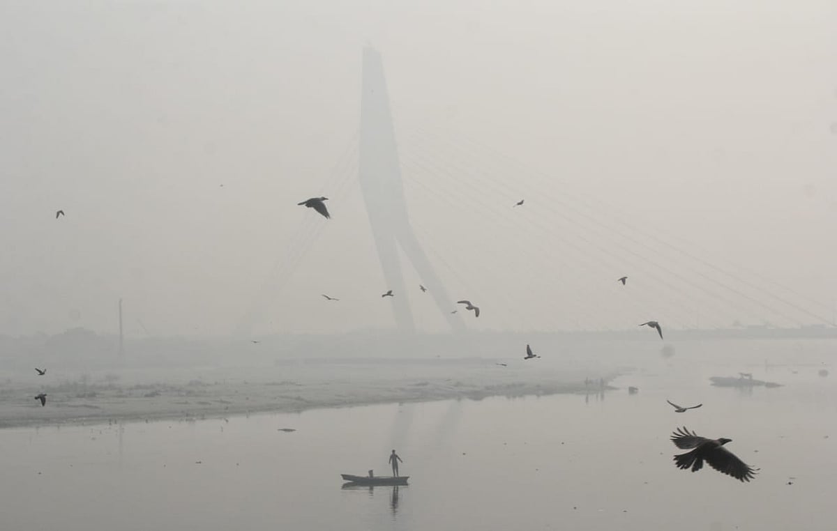 फोटो: विपिन