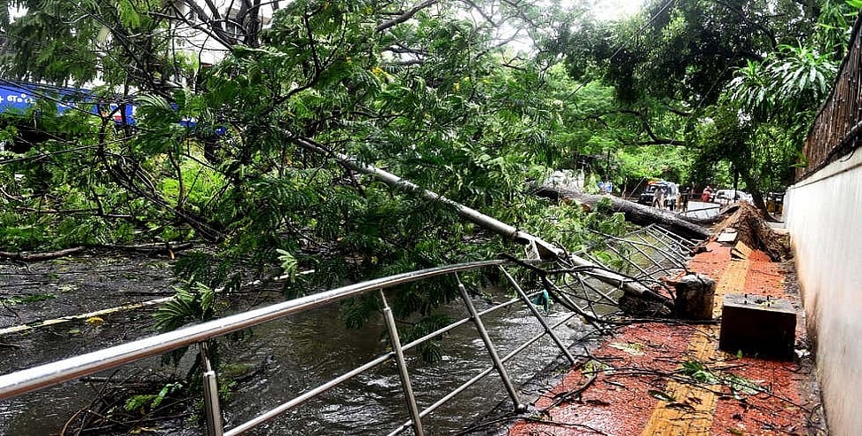 चक्रवात ‘निवार’ के गुजरने के बाद तमिलनाडु-पुडुचेरी में तबाही का मंजर, राहत कार्य में जुटी NDRF, देखें तस्वीरें