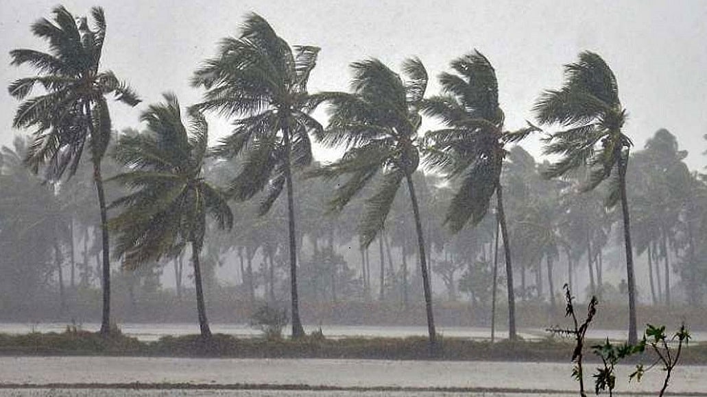 तमिलनाडु और पुदुचेरी पर चक्रवात ‘निवार’ का खतरा, 25 नवंबर को तटों को कर सकता है पार, सावधान रहने के निर्देश