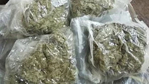 अब तक के सबसे बड़े ड्रग्स नेटवर्क का खुलासा, NCB ने मुंबई में जब्त की 2.50 करोड़ रुपये की 'मलाना क्रीम' ड्रग