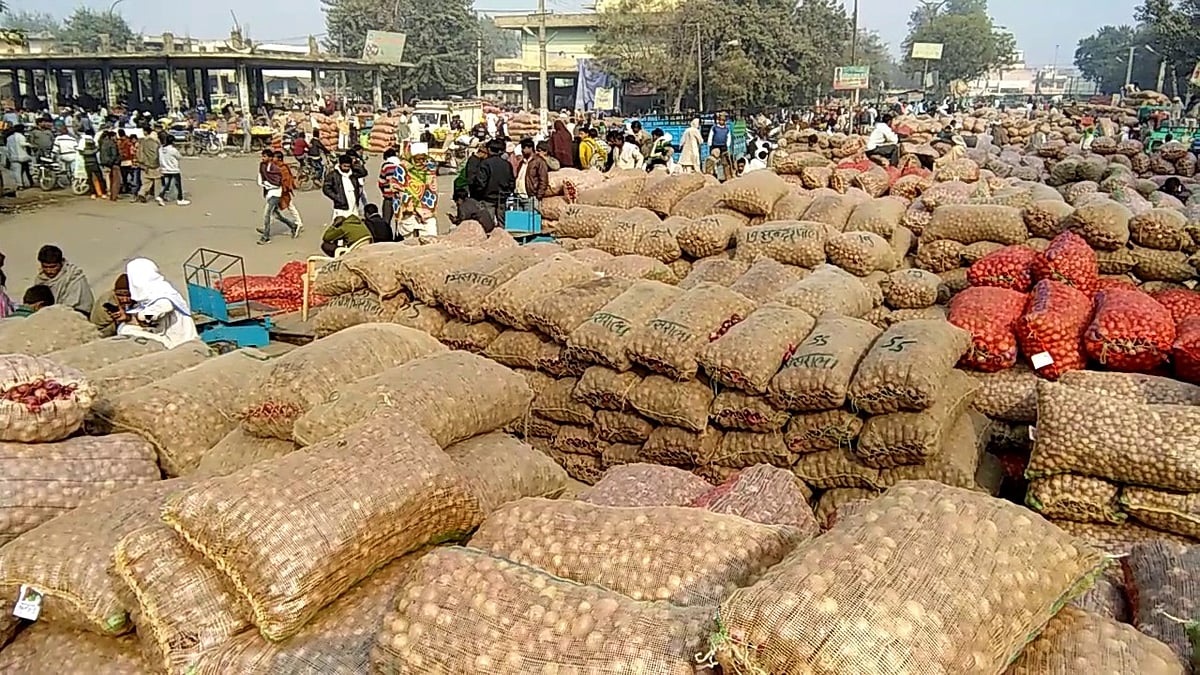 फोटो: सोशल मीडिया