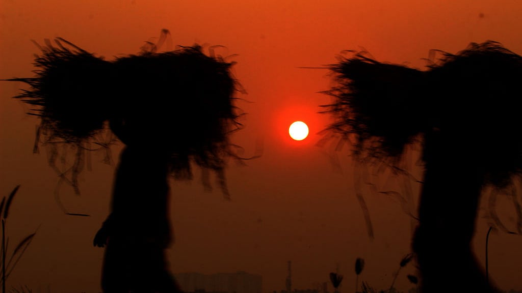 फोटो : Getty Images