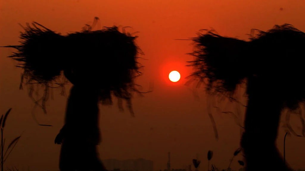 फोटो : Getty Images