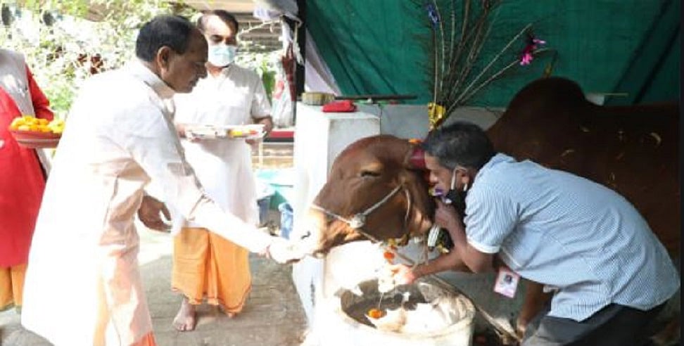 मध्य प्रदेश में गौशालाओं को दान करने वालों को शिवराज सरकार का ऑफर, आयकर से मिली छूट