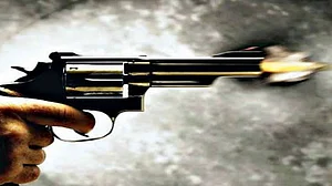 यूपी के मेरठ में हैरान करने वाला मामला! कुत्ते की रोटी बनाने से किया इनकार तो भाई ने बहन को मारी गोली, हुई मौत