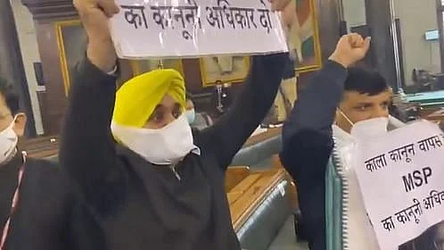 फोटो: सोशल मीडिया