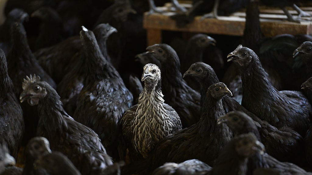 फोटो: Getty Images