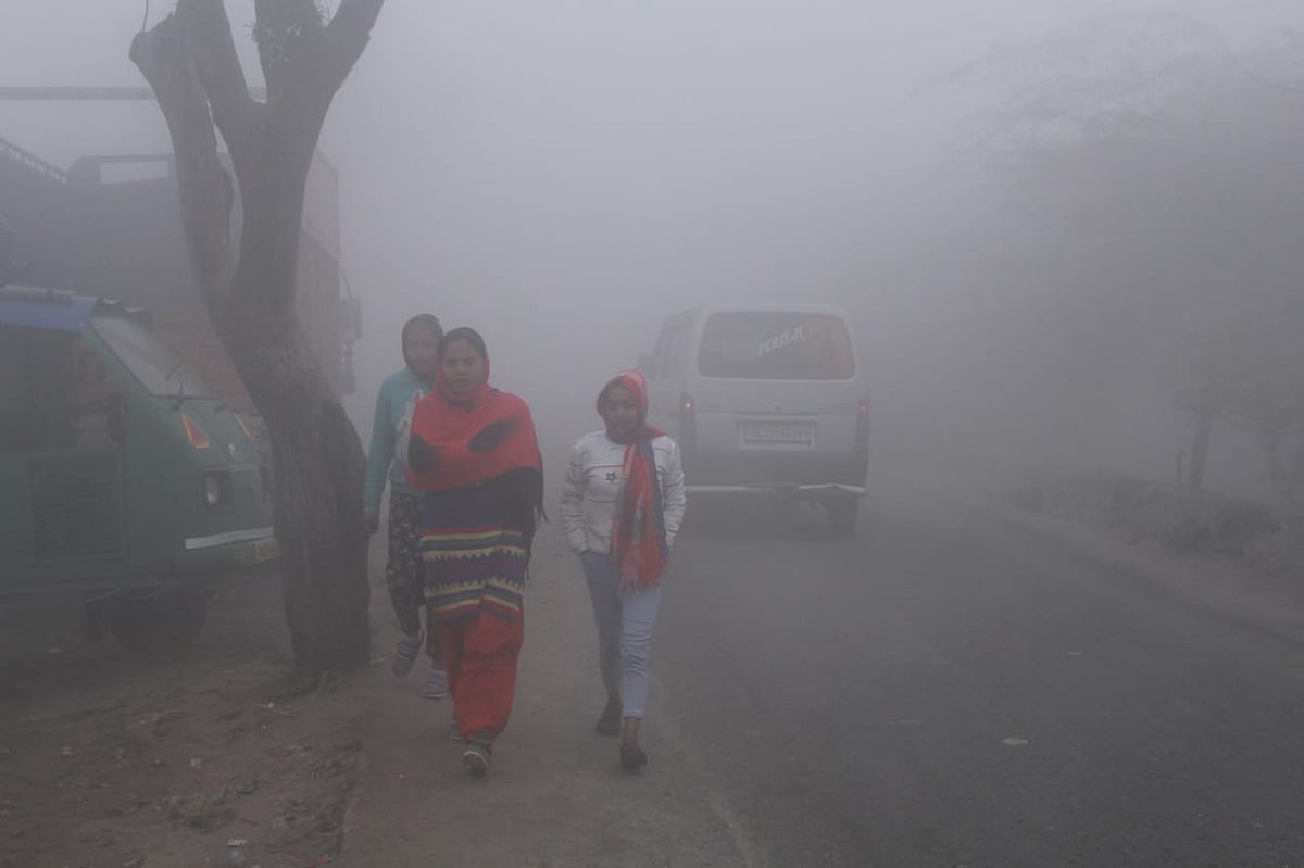 फोटो: विपिन