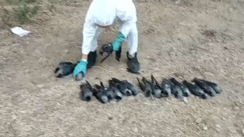फोटोः सोशल मीडिय