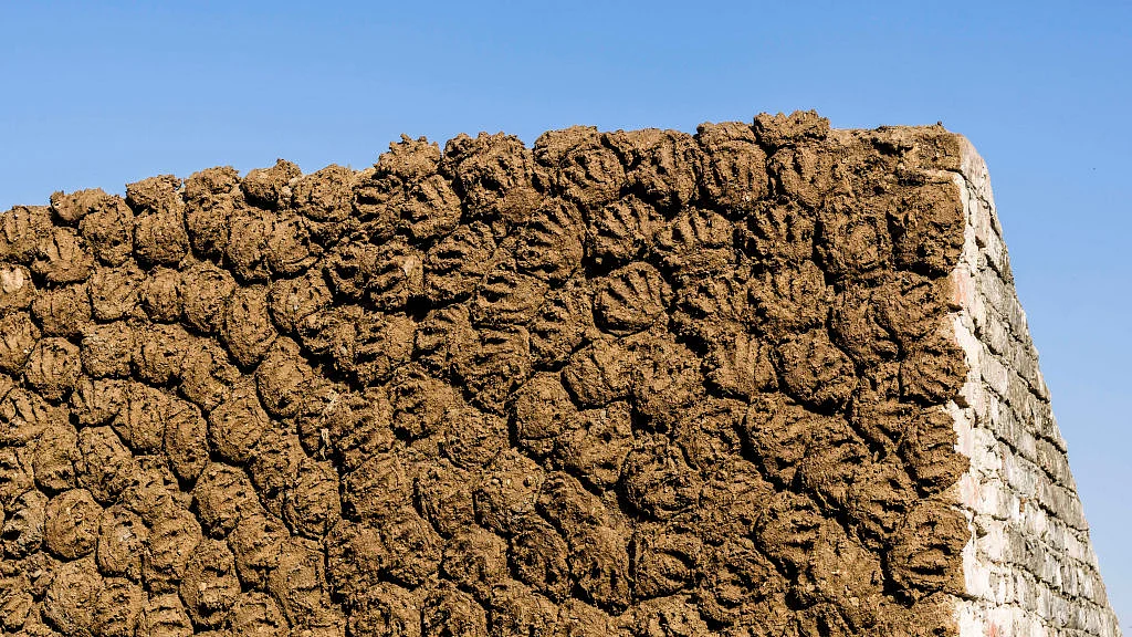 फोटो: Getty Images