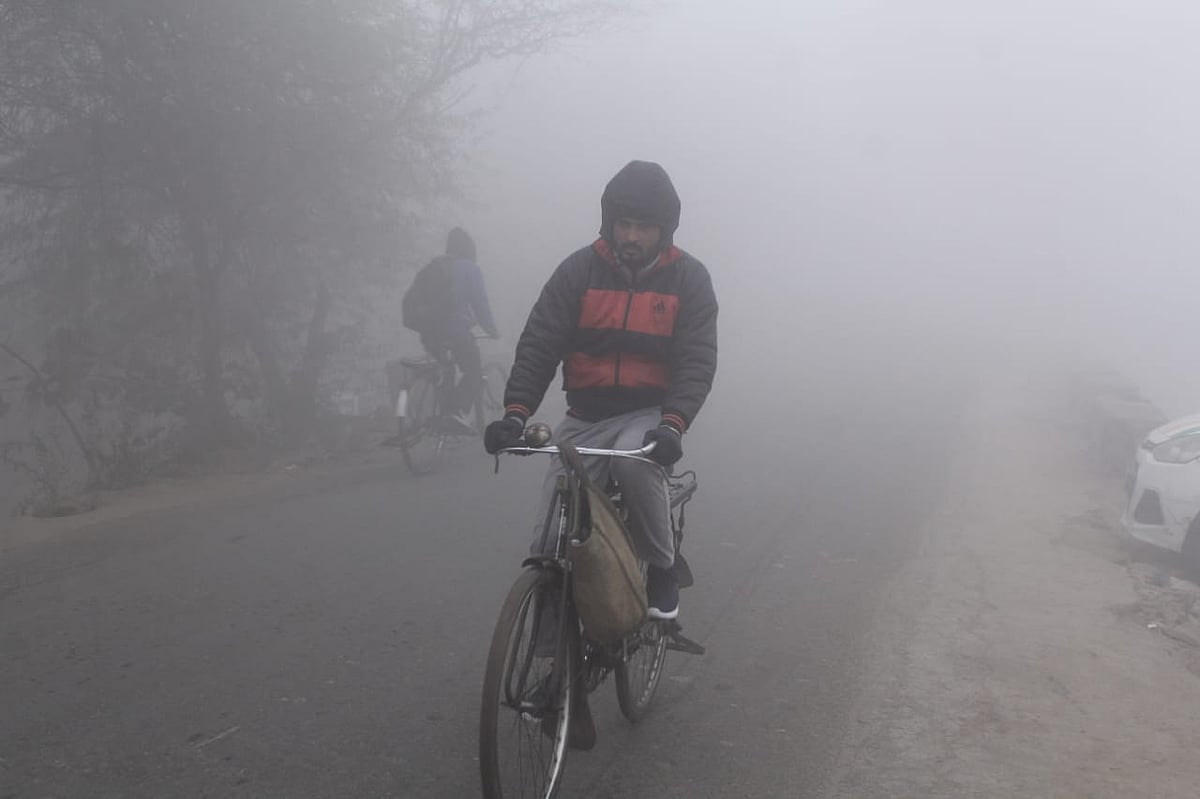 फोटो: विपिन