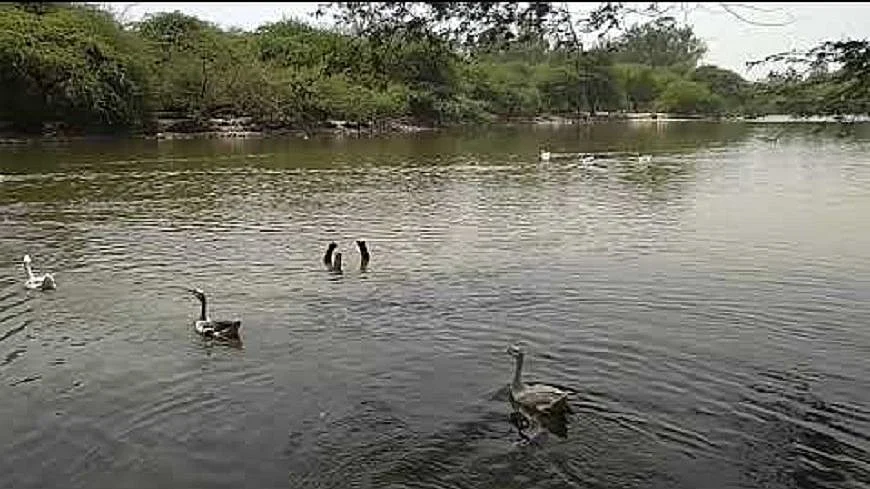 फाइल फोटोः सोशल मीडिया