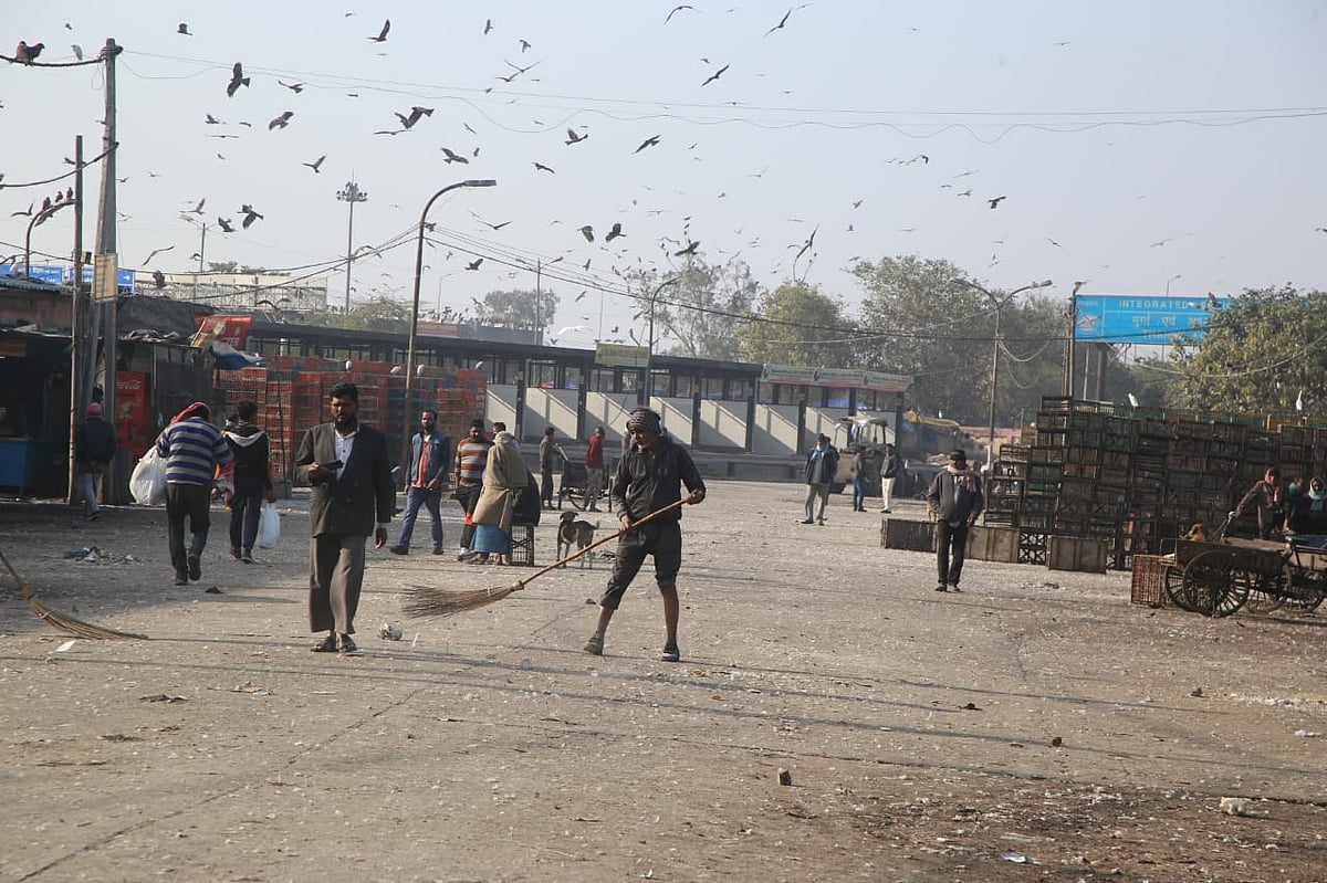 पोल्ट्री इंडस्ट्री पर बर्ड फ्लू का साया, 50 फीसदी गिरा चिकन का भाव