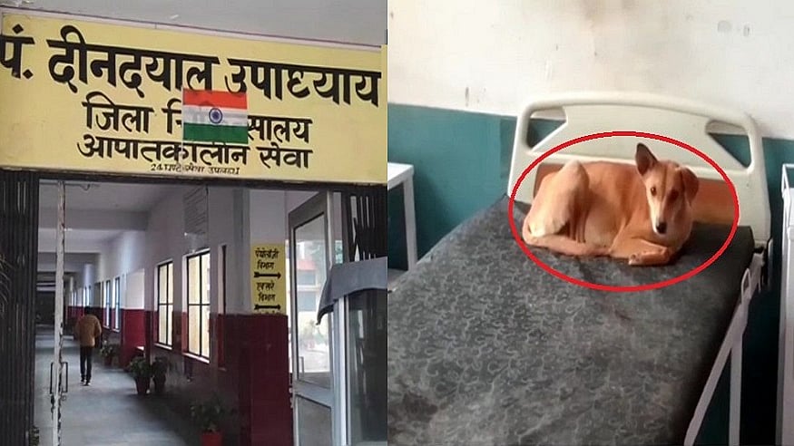 फोटो: ANI