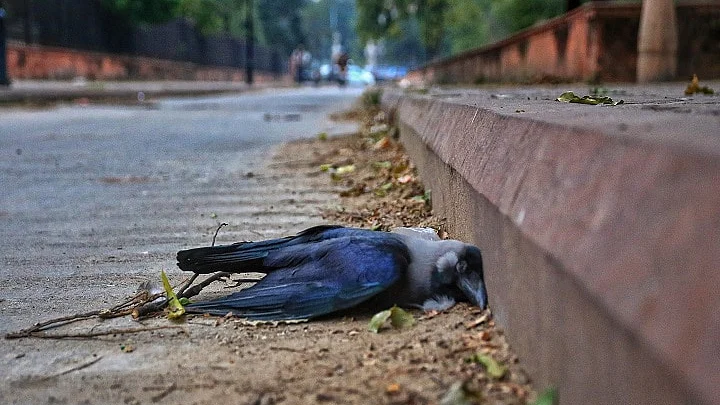 फोटोः सोशल मीडिया