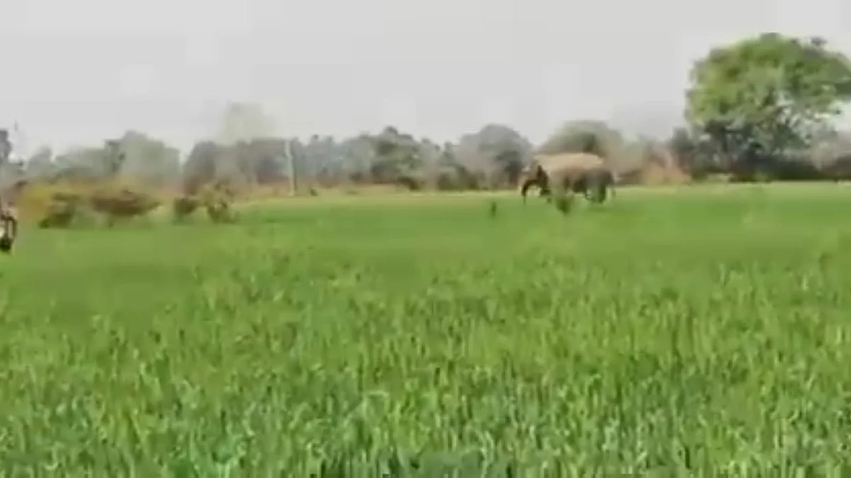 फोटो: IANS