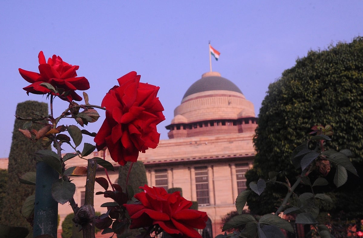 राष्ट्रपति भवन का मुगल गार्डन 13 फरवरी से खुलेगा, 200 से ज्यादा किस्मों के फूल बिखेरेंगे रंग, देखें तस्वीरें