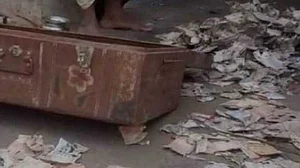वीडियो: जमापूंजी को दीमकों ने किया स्वाहा! ट्रंक में छिपाकर रखी थी गाढ़ी कमाई, 5 लाख रुपए खा गए दीमक