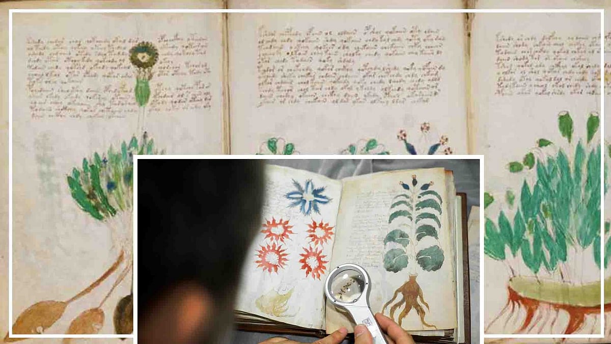 वीडियो: 240 पन्नों की वो 'रहस्यमयी' किताब, जिसे आजतक कोई पढ़ नहीं पाया, वजह हैरान करने वाली है!