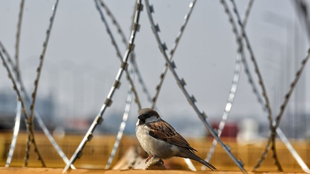 फोटो : Getty Images