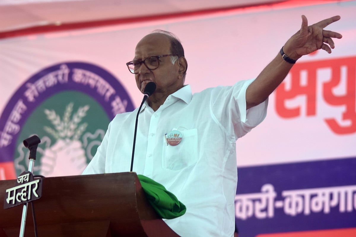 विधानसभा चुनाव: 4 राज्यों में बीजेपी की होगी हार, देश को नई दिशा देंगे ये चुनाव, शरद पावर का दावा