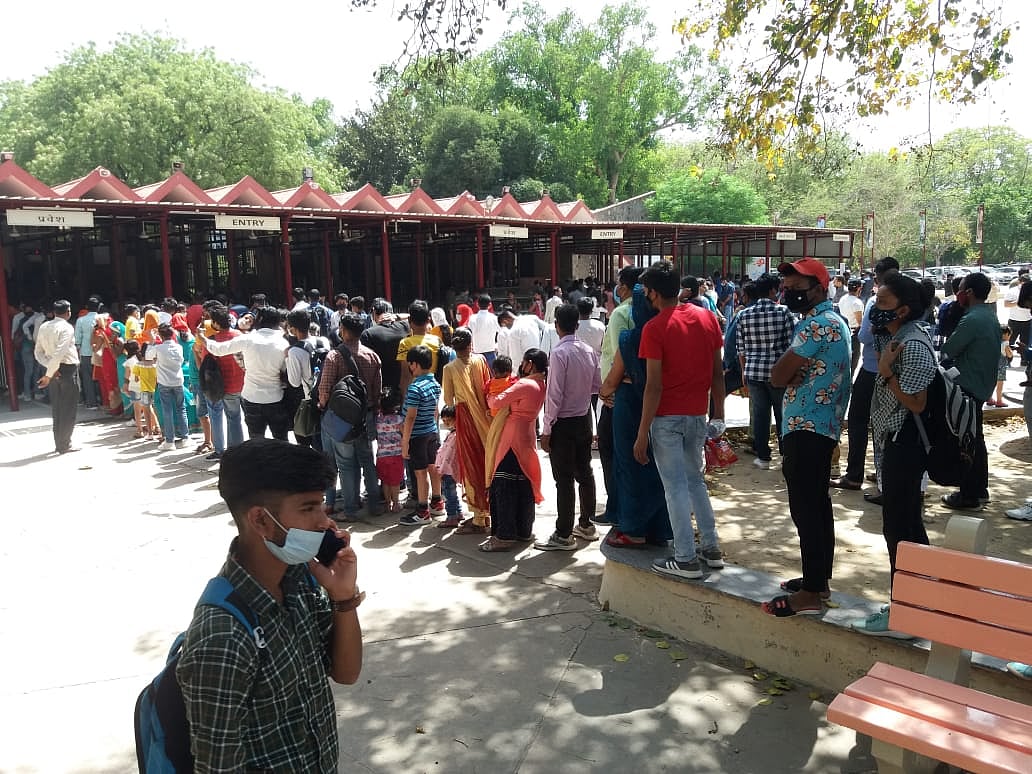 आज से लोगों के लिए खुल गया दिल्ली का चिड़ियाघर, पर्यटकों में उत्साह, सोशल डिस्टेंसिंग रही नदारद