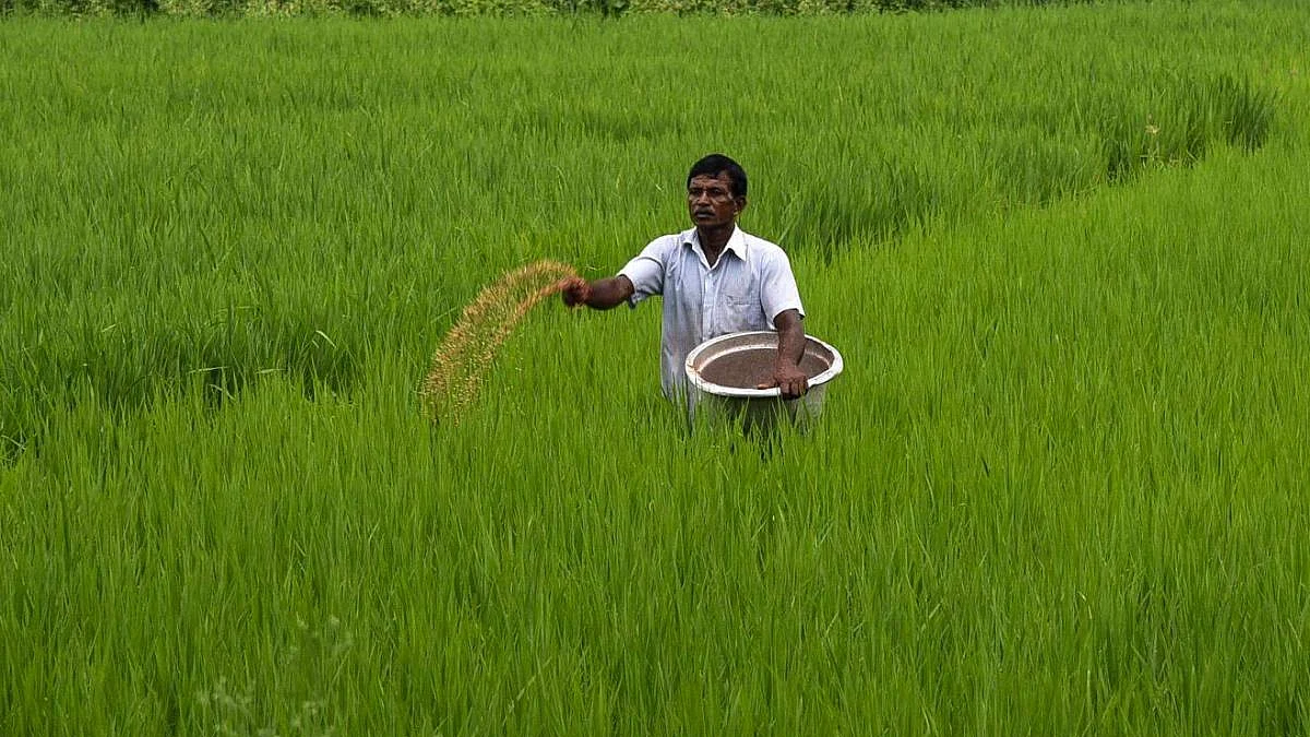 फोटो : सोशल मीडिया