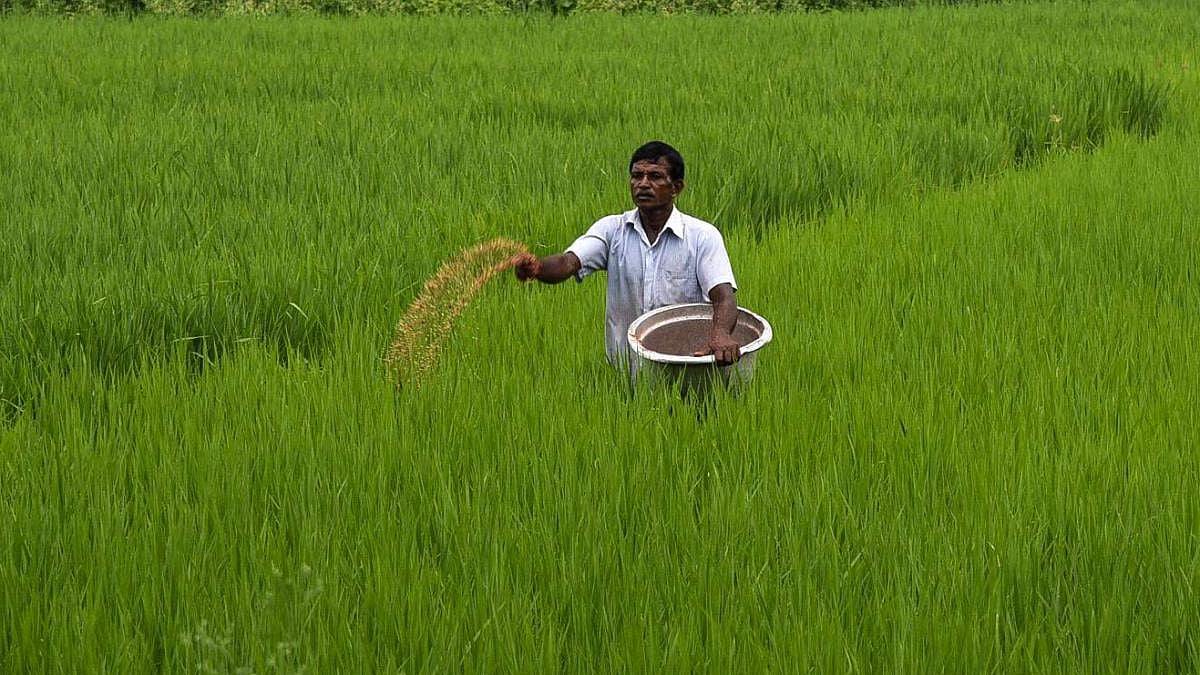 फोटो : सोशल मीडिया