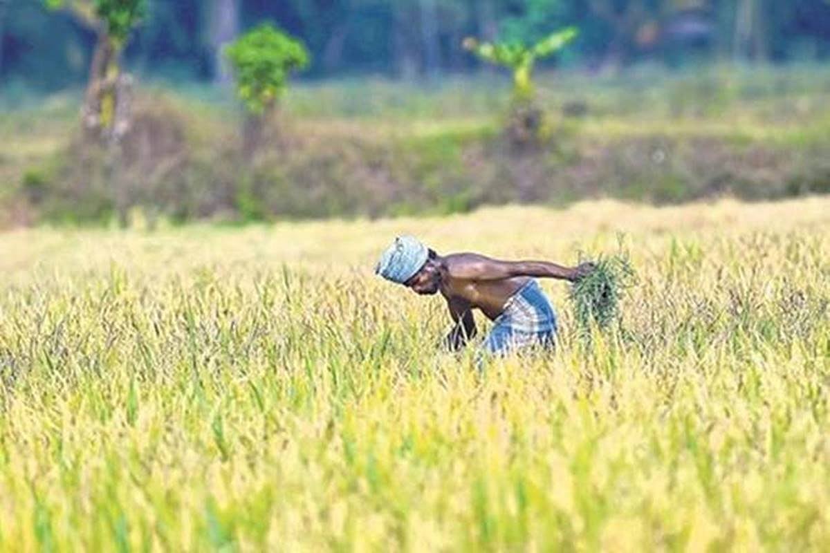 MP: धार में 100 से ज्यादा किसानों के साथ धोखाधड़ी, कांग्रेस ने उठाई आवाज, सीएम शिवराज से की कार्रवाई की मांग