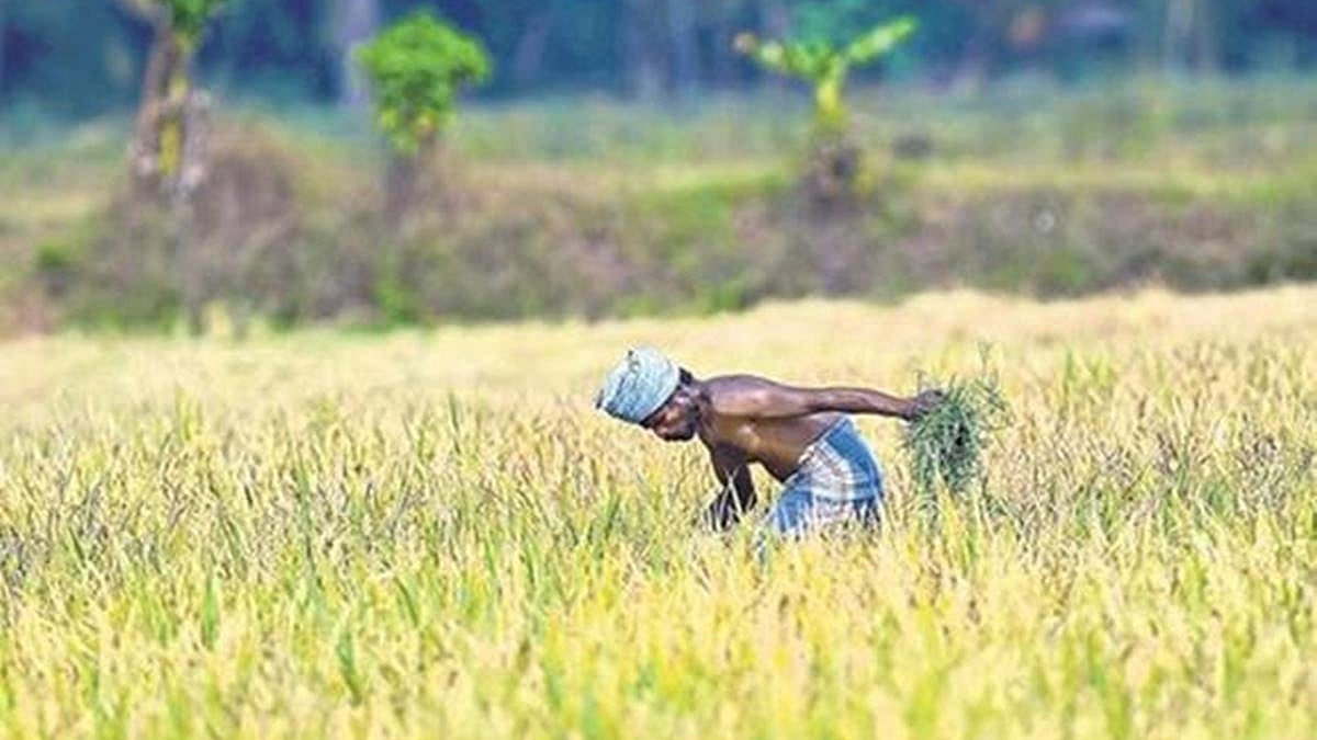 फोटो: सोशल मीडिया