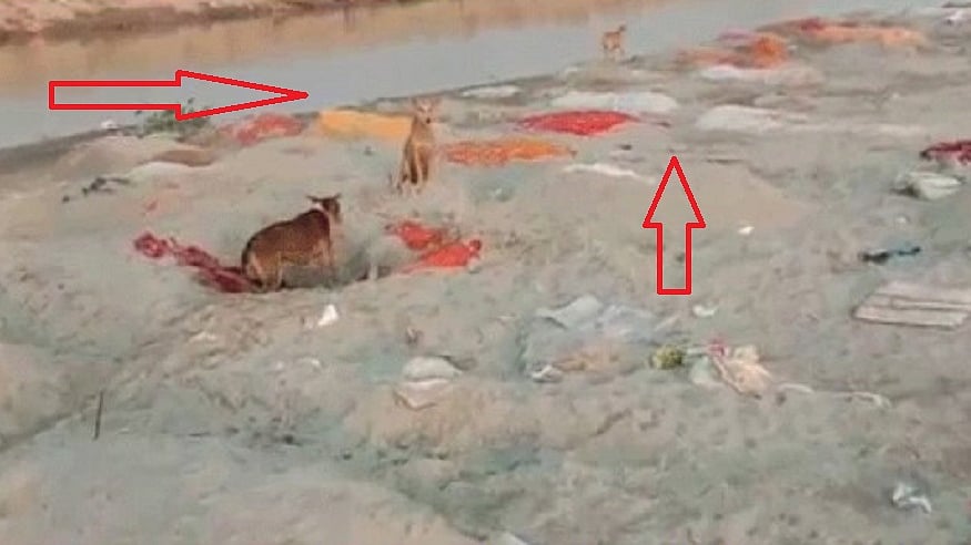 फोटो: सोशल मीडिया 