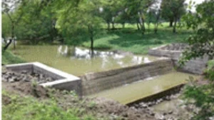 कोरोना काल में भी प्रकृति से खिलवाड़! हीरा के लिए कुर्बान होने वाले बुंदेलखंड के जंगलों को बचाने खातिर हो रहे गोलबंद