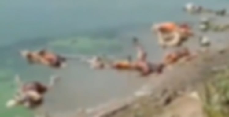 बिहारः बक्सर में गंगा घाट पर बहकर आए 40 शव, प्रशासन ने यूपी से आने का किया दावा